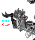 spinaz.jpg