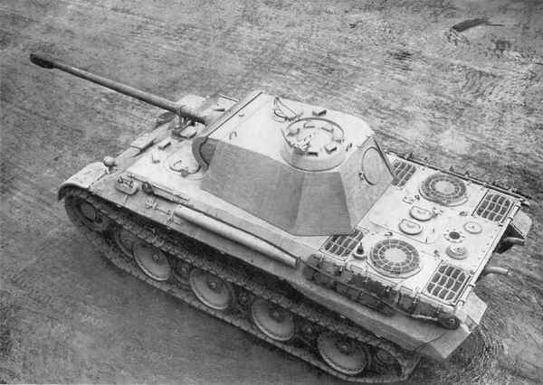 panther_6.jpg