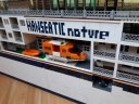 Hapag-Lloyd_MS_Hanseatic-Nature_ag.jpg