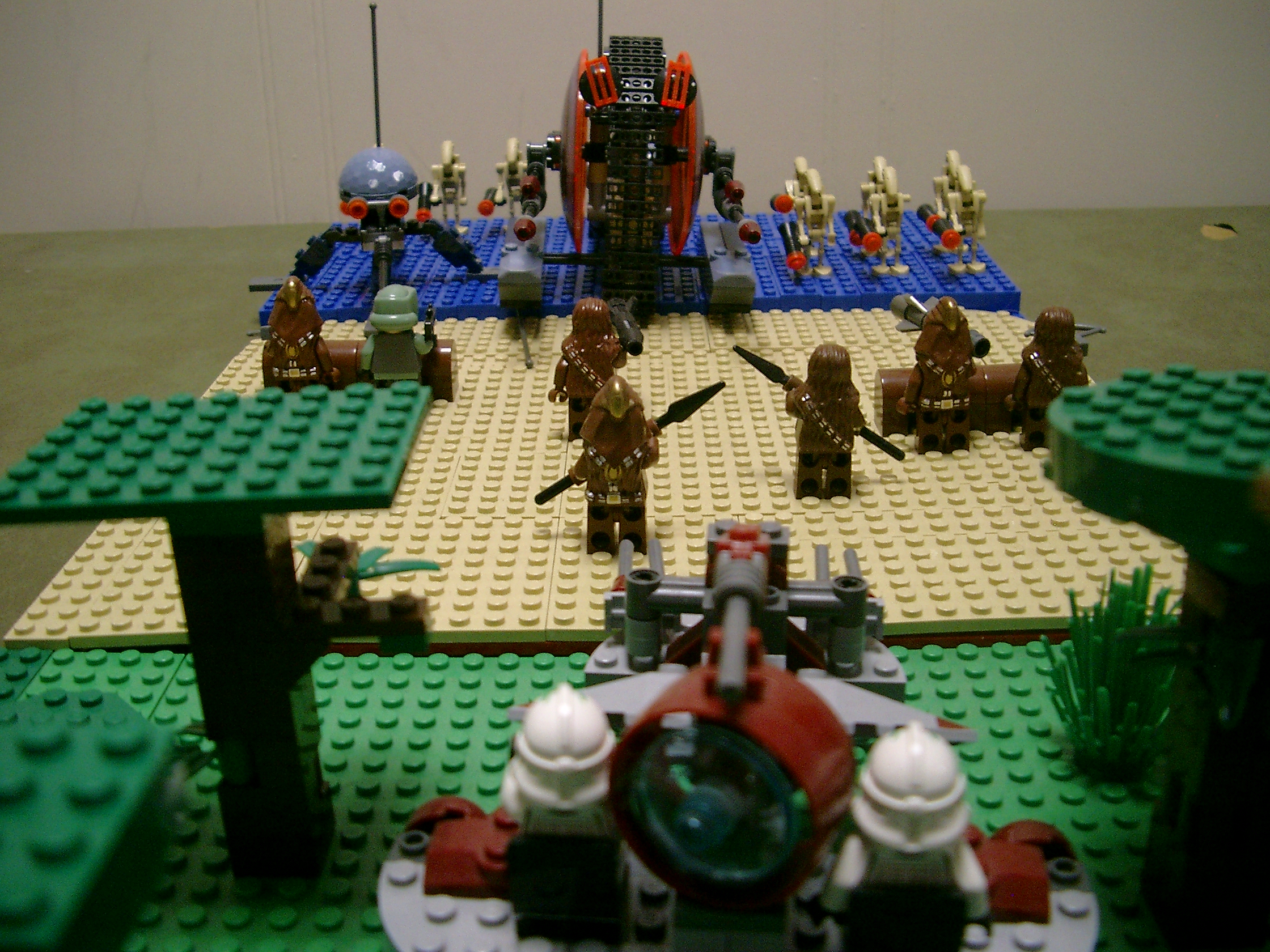 kashyyyk.jpg