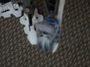 dsc00444.jpg