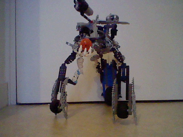 moc_acna-project_hero_skelette_001.jpg