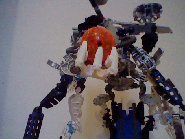 moc_acna-project_hero_skelette_002.jpg