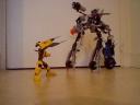 moc_acna-project_hero_skelette_004.jpg