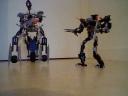 moc_acna-project_hero_skelette_008.jpg