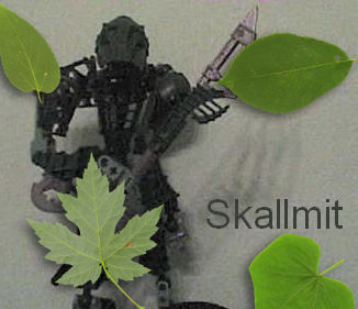 skallmitl.jpg