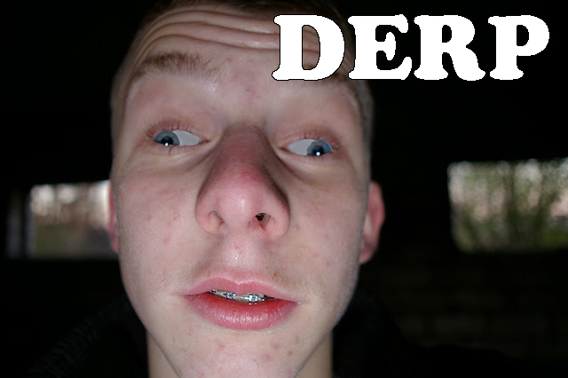 derp.jpg