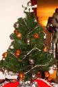 bionitree.gif