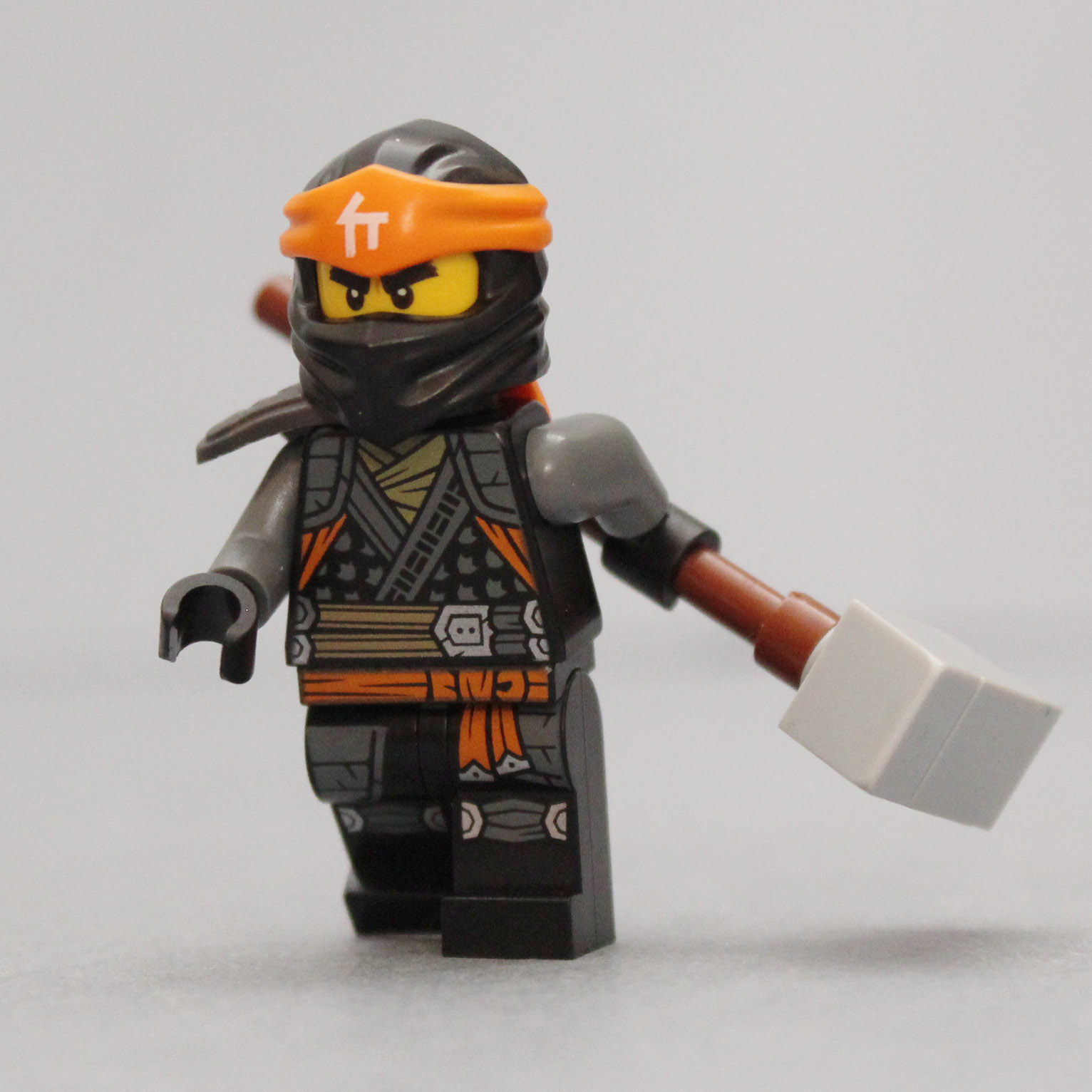 ninja_cole_1.jpg