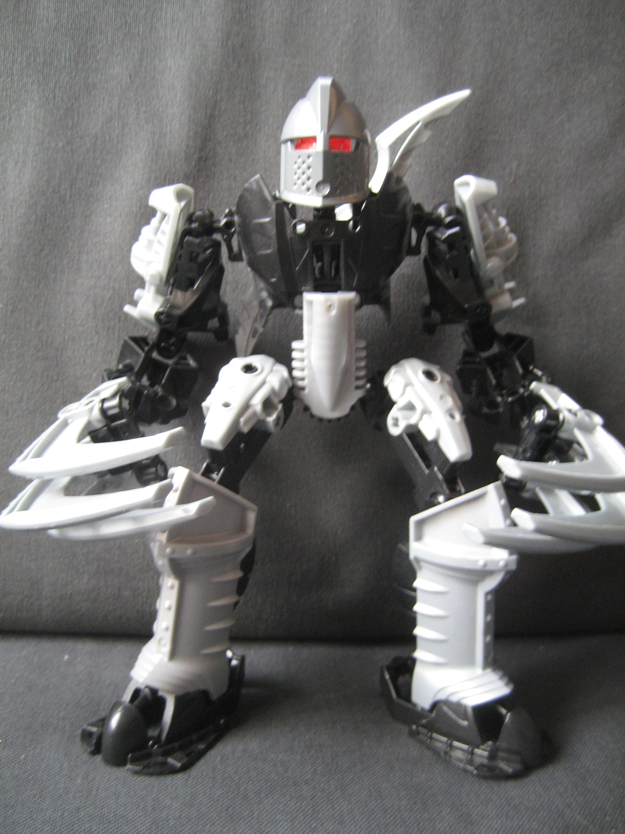 m1flavus.jpg