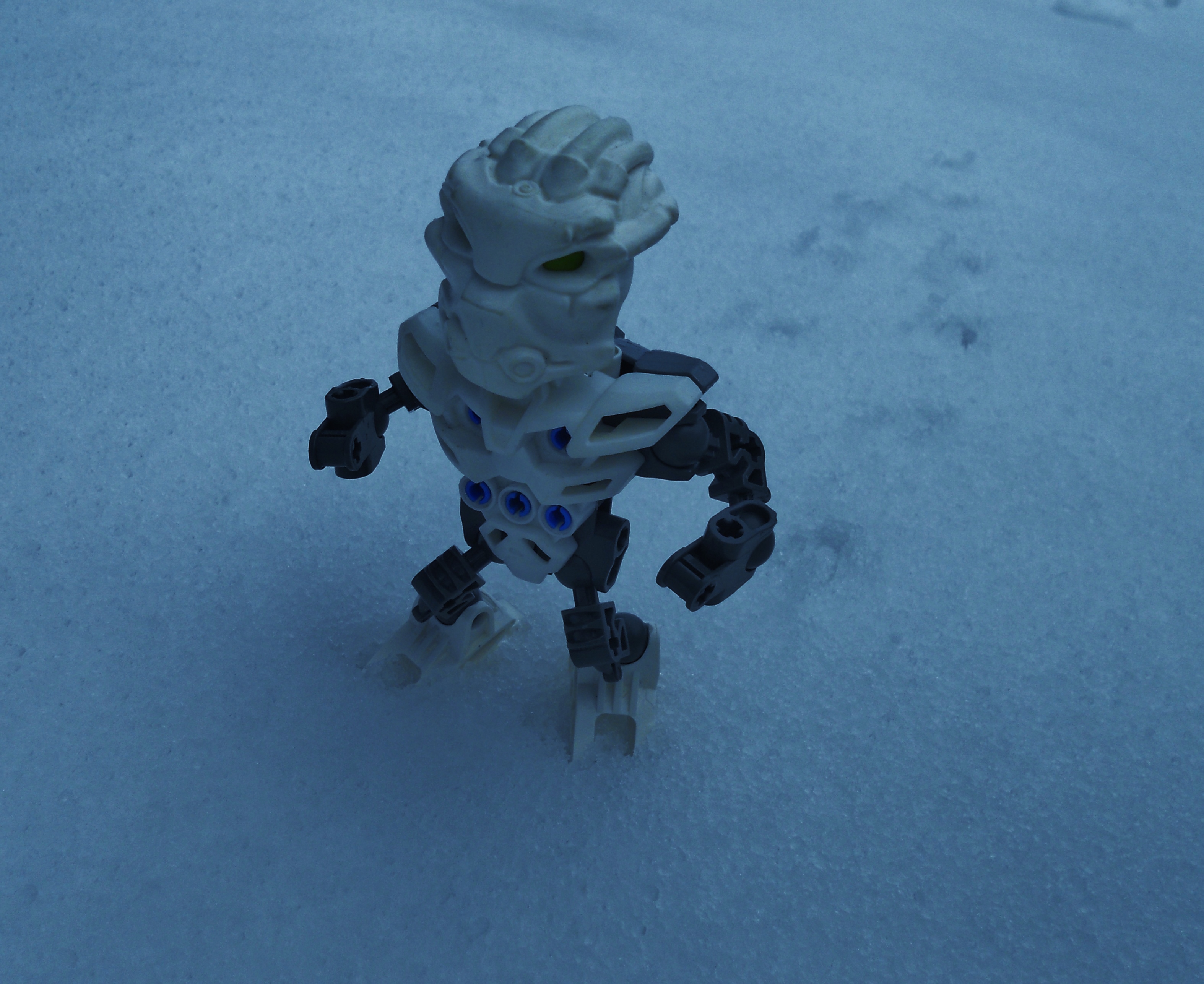 dscn7331.jpg