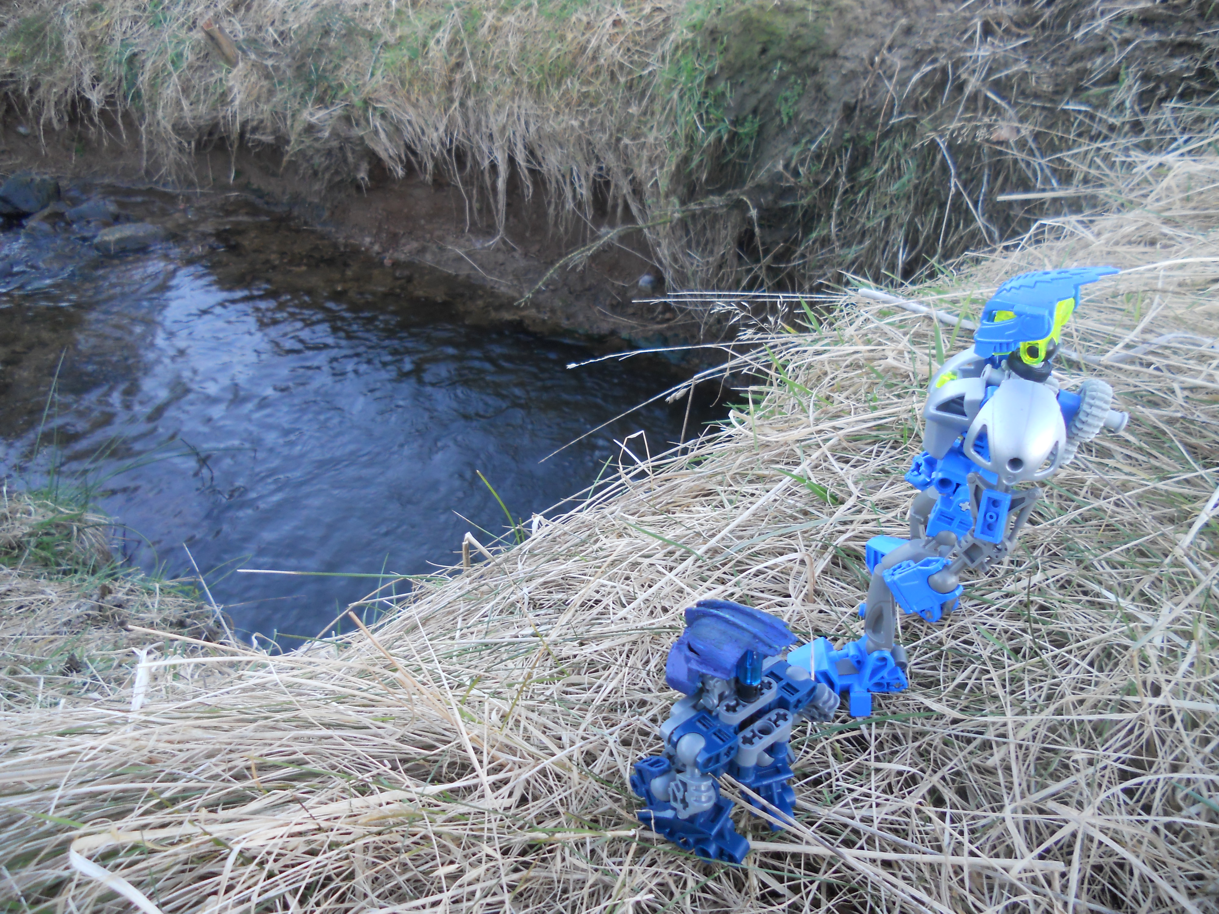 dscn7608.jpg