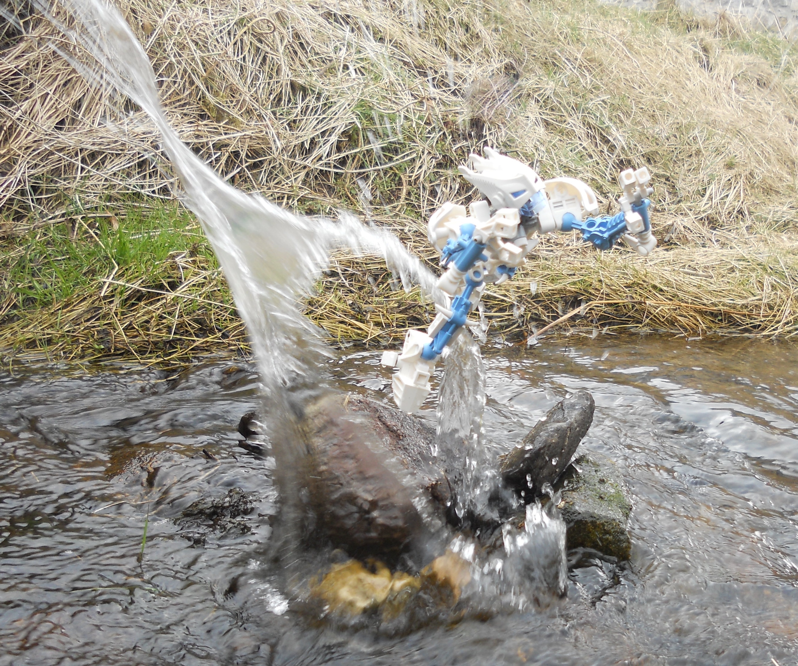dscn7931.jpg