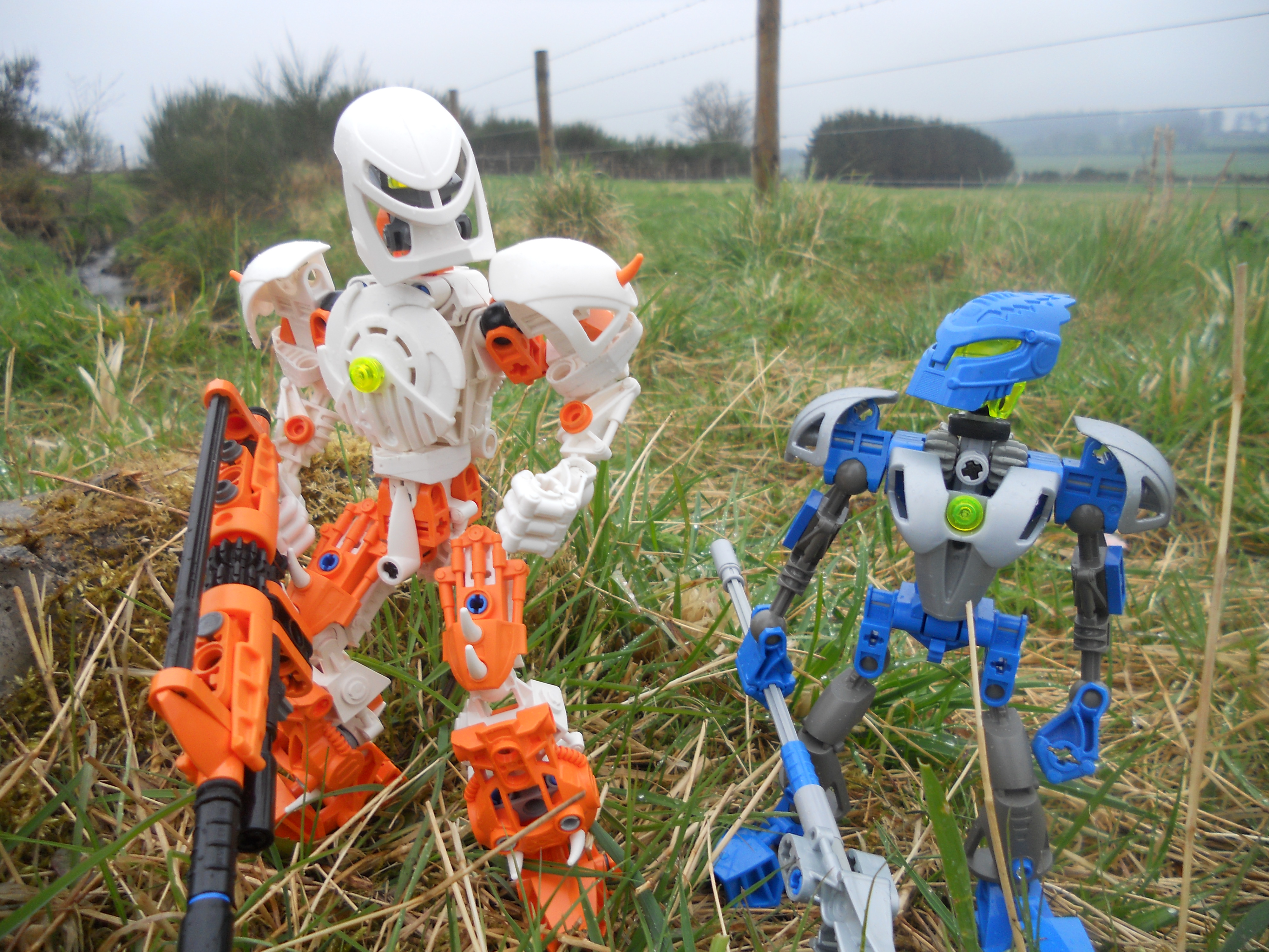 dscn8301.jpg