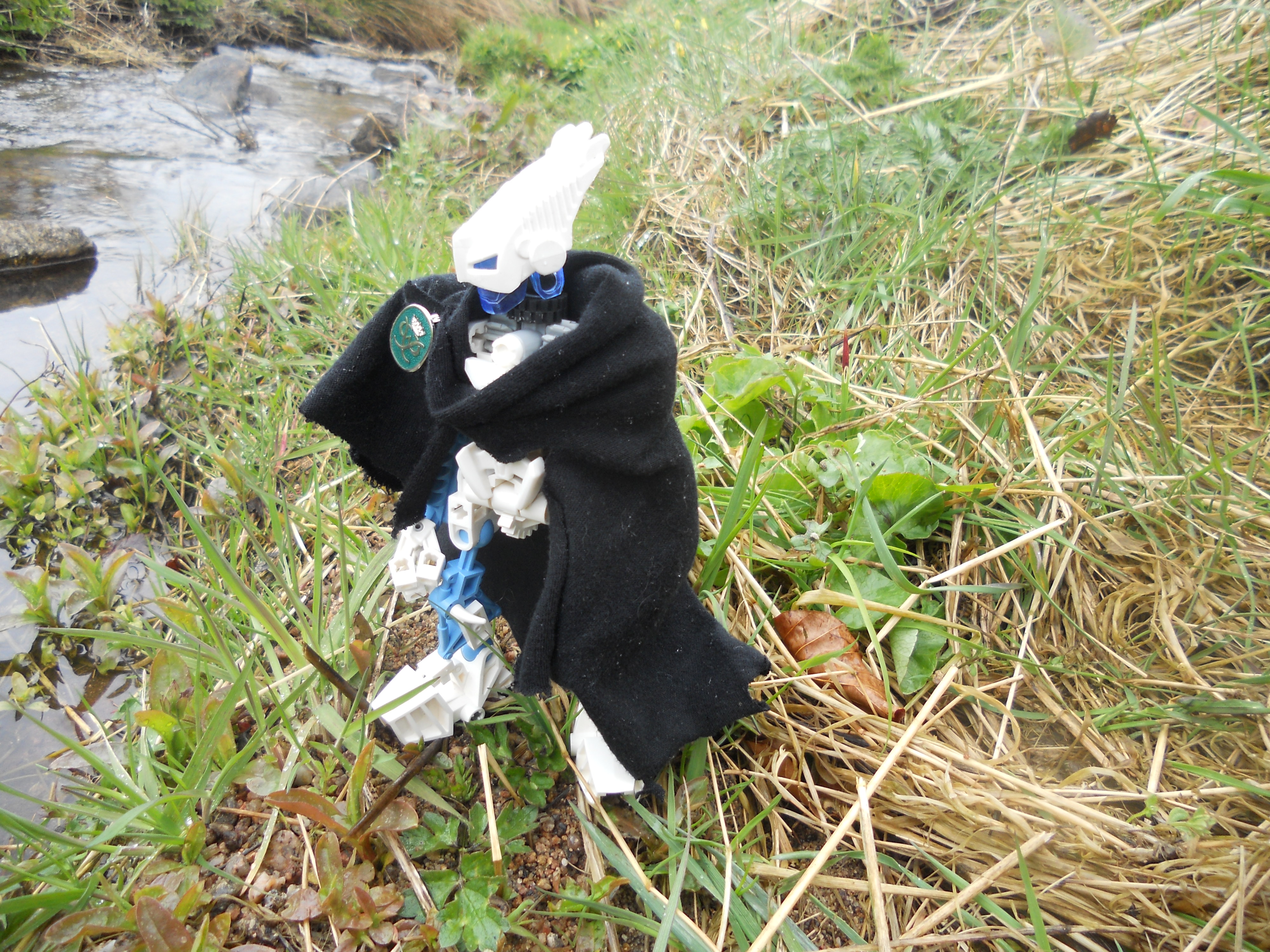 dscn8253.jpg