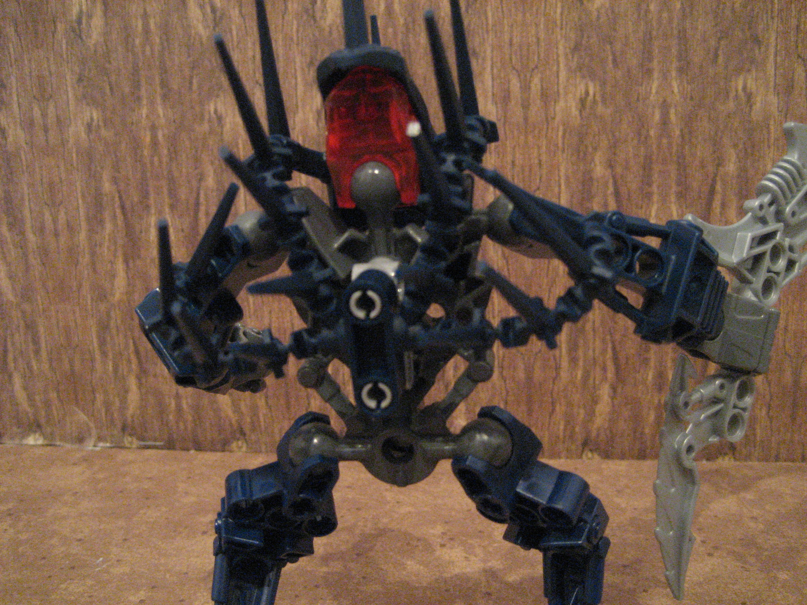 nektann_rear.jpg