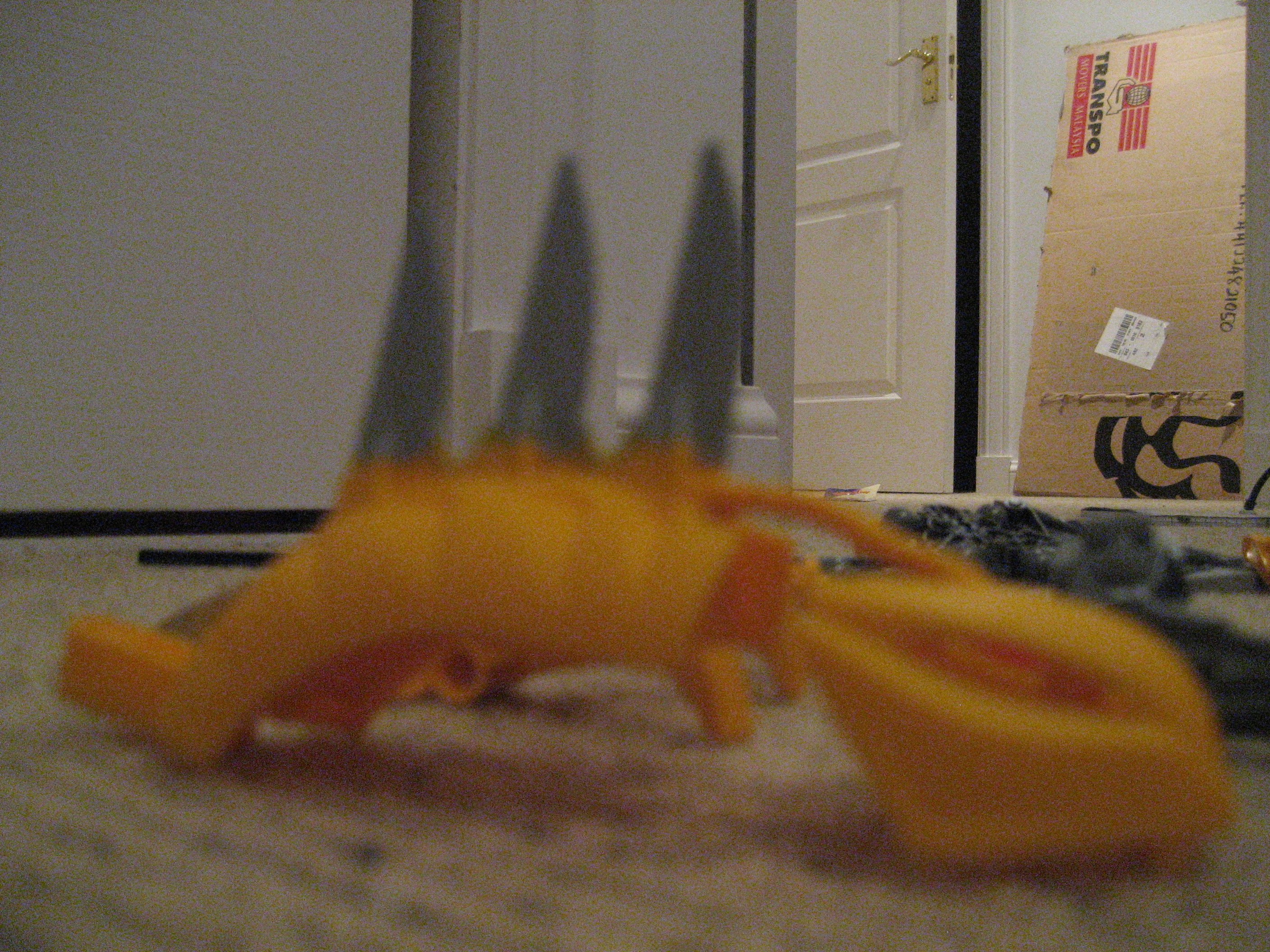spine.jpg