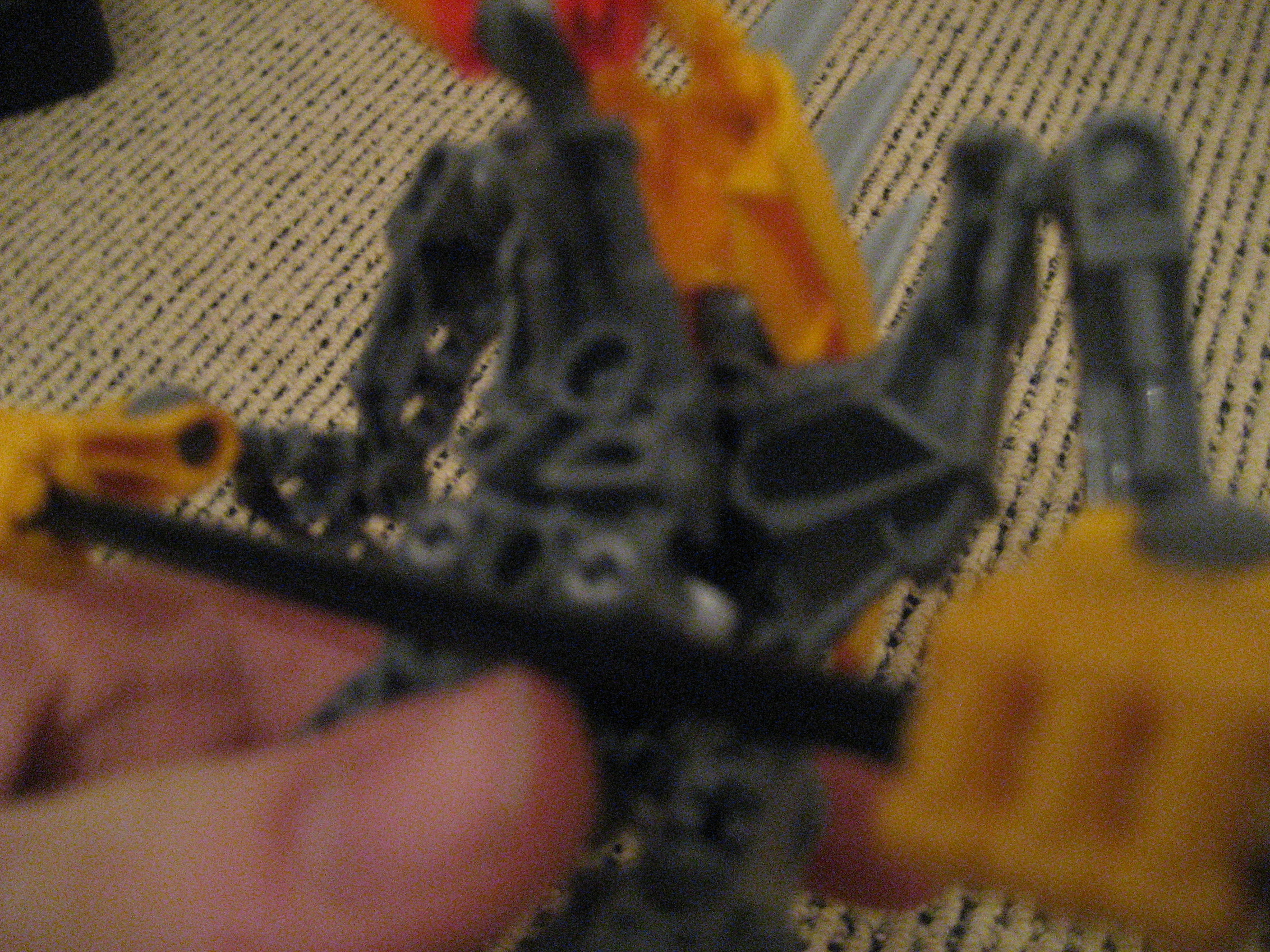 torso.jpg