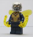 wasp_01.jpg