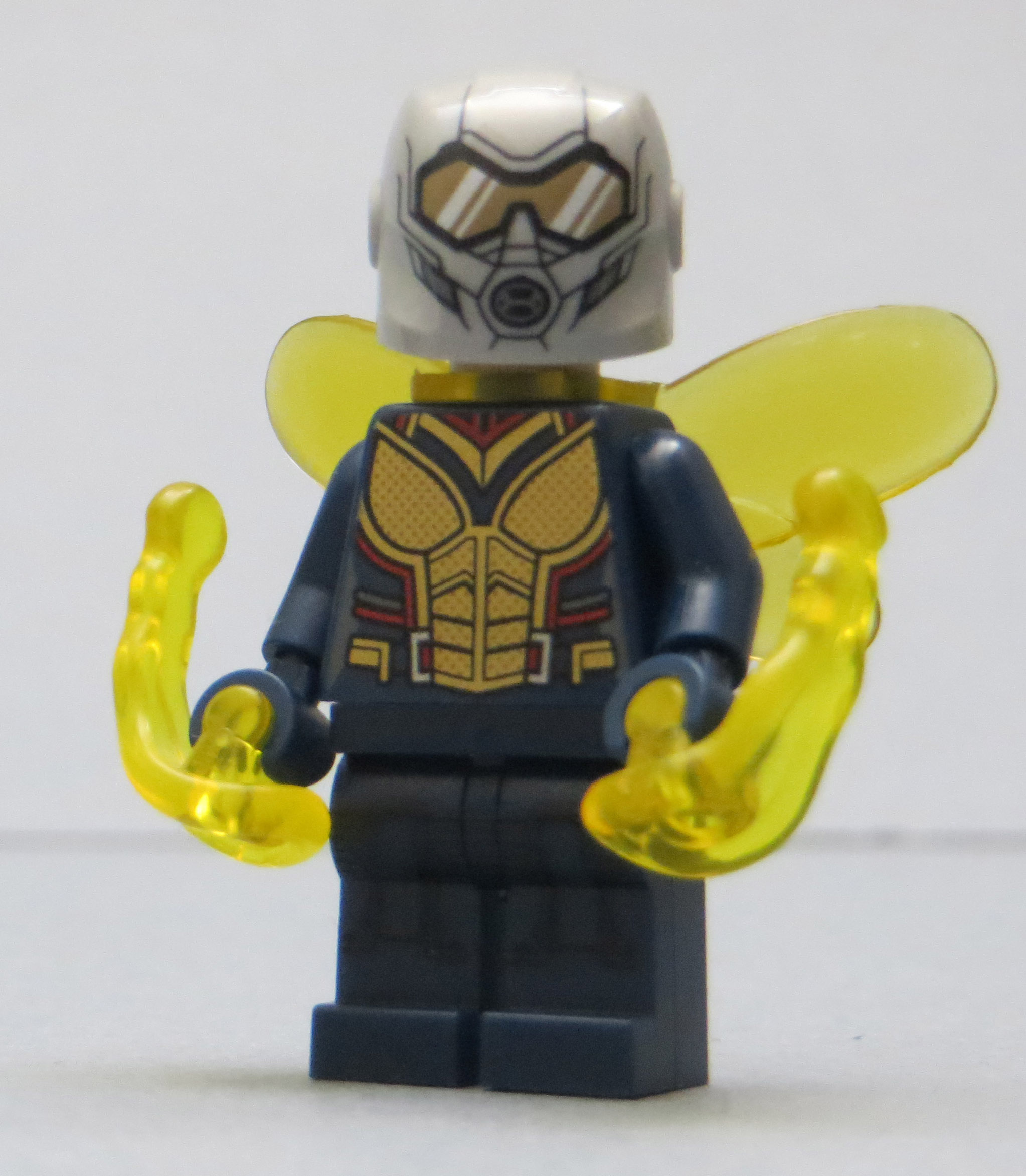 wasp_01.jpg