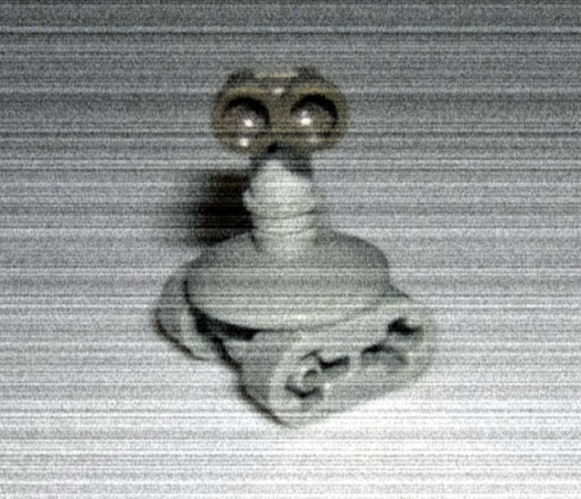 dscn7331edit.jpg