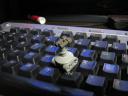 keyboard_01.jpg
