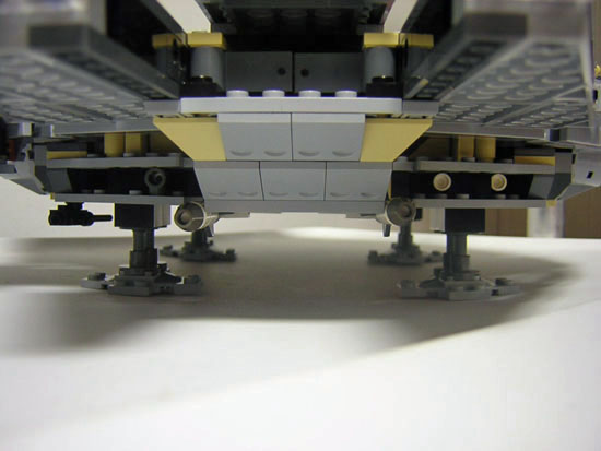 falcon_003.jpg