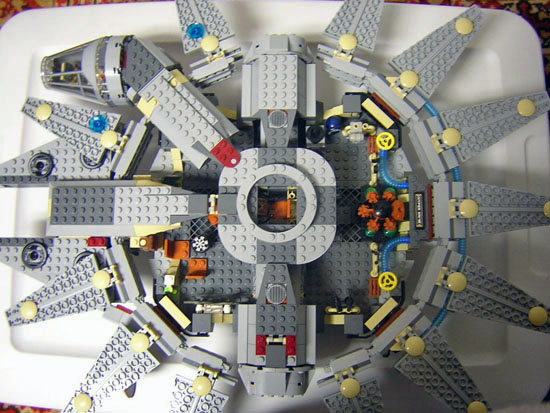 falcon_006.jpg