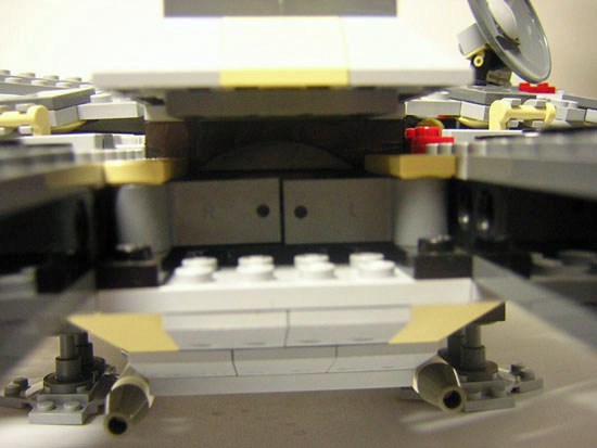 falcon_009.jpg