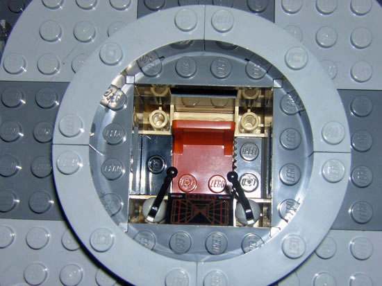 falcon_014.jpg