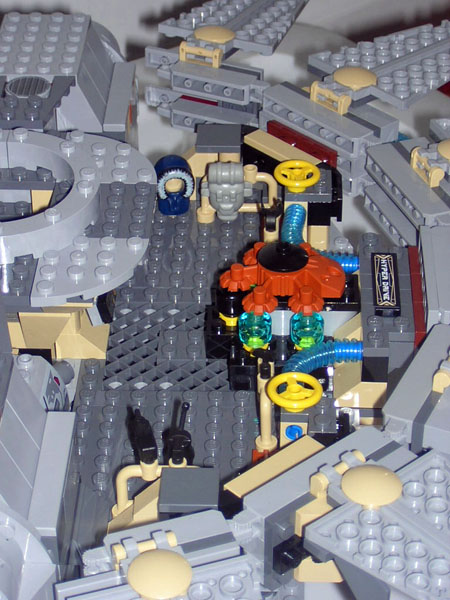 falcon_017.jpg