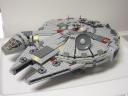 falcon