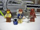 falcon_008.jpg
