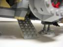 falcon_018.jpg