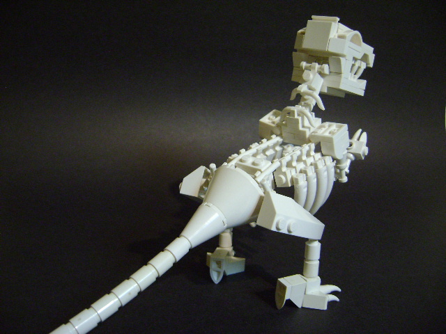 dino_bones_4.jpg