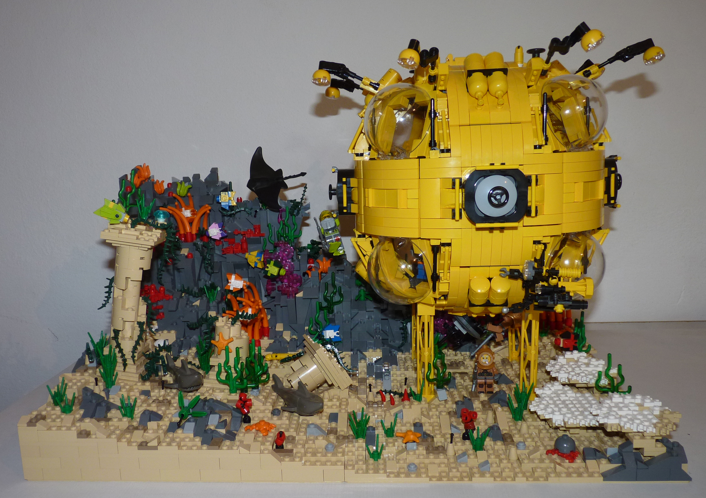dss_01.jpg