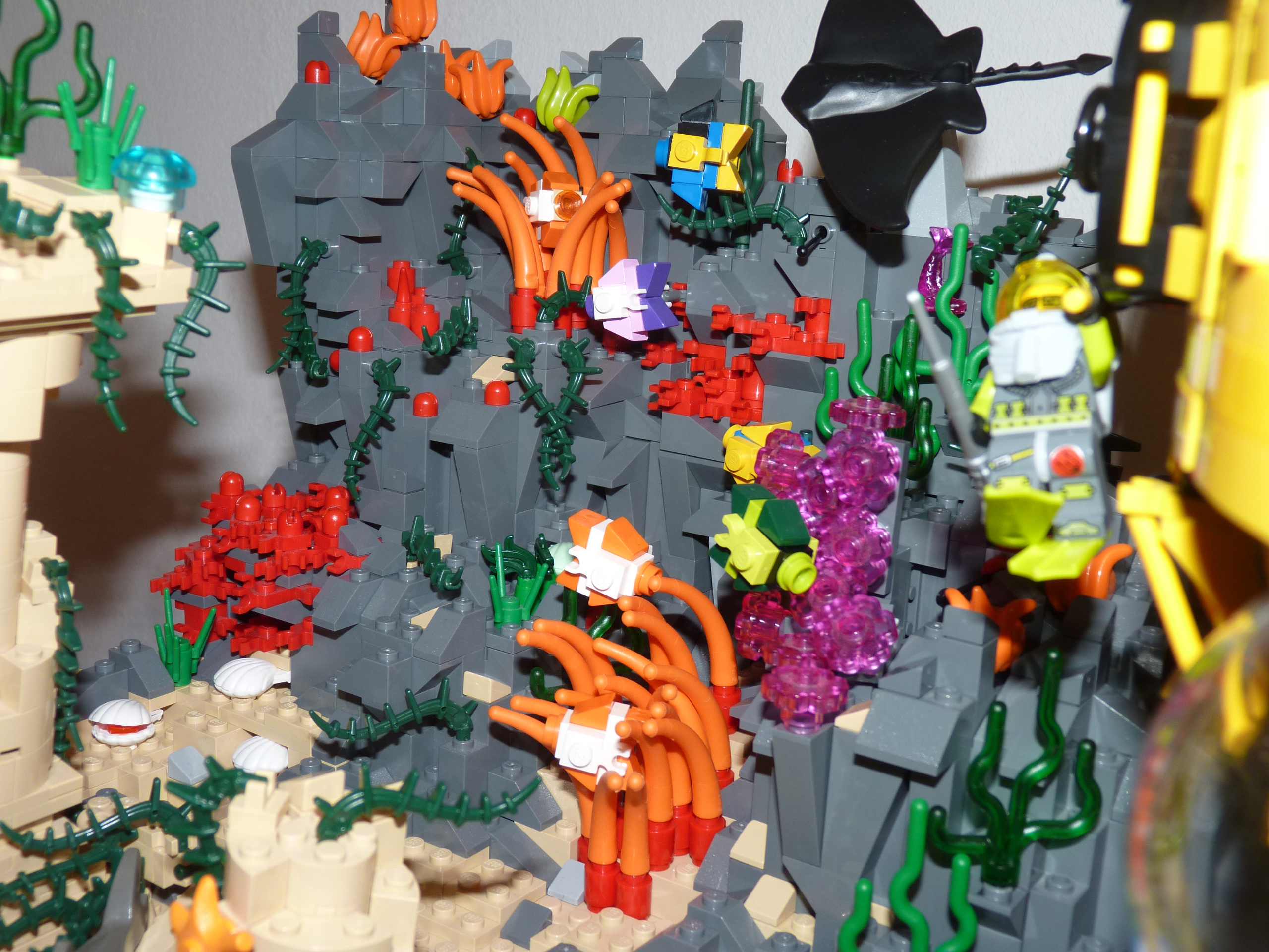 dss_05.jpg