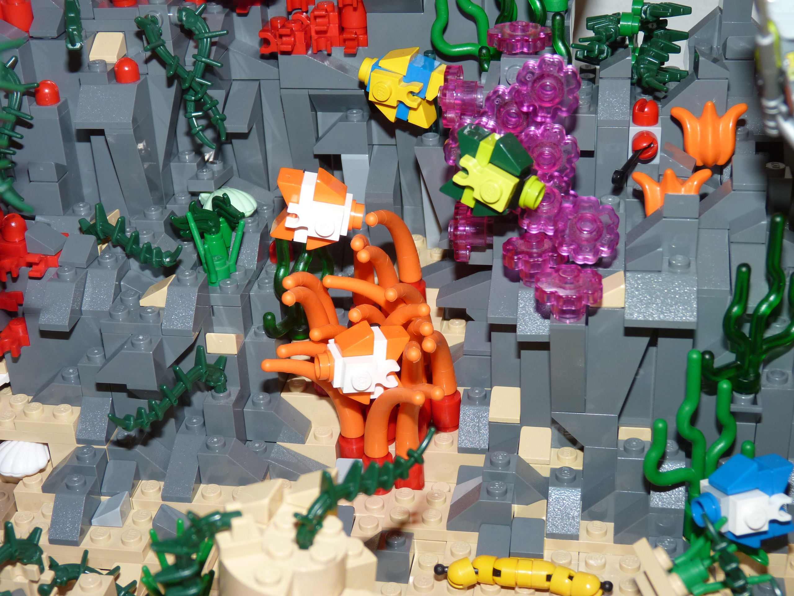 dss_06.jpg