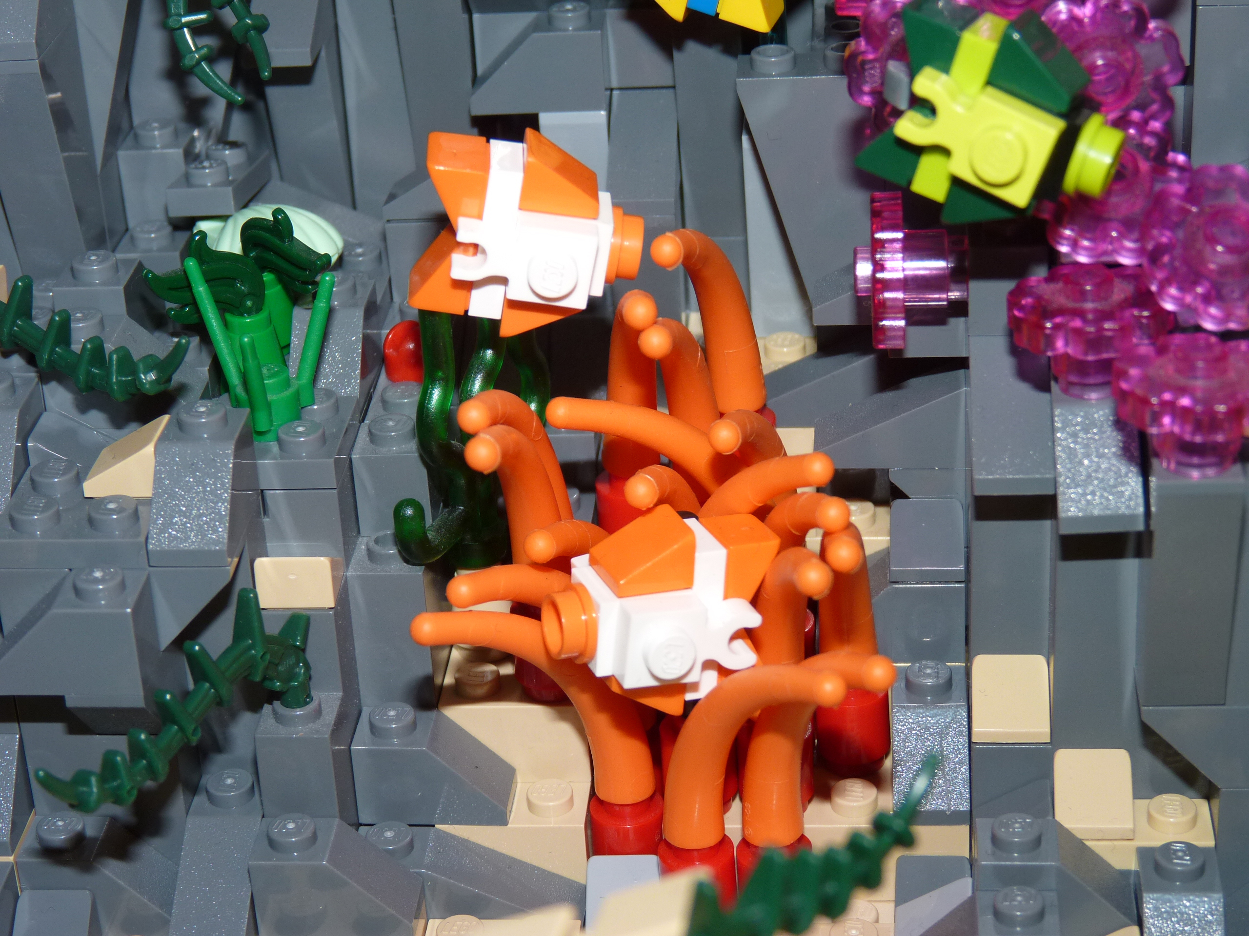 dss_08.jpg