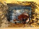 29_rancor_cave_01.jpg