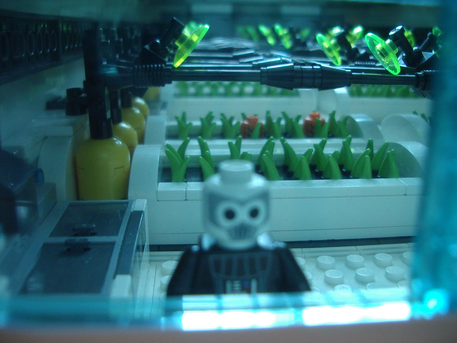 09_greenhouse.jpg