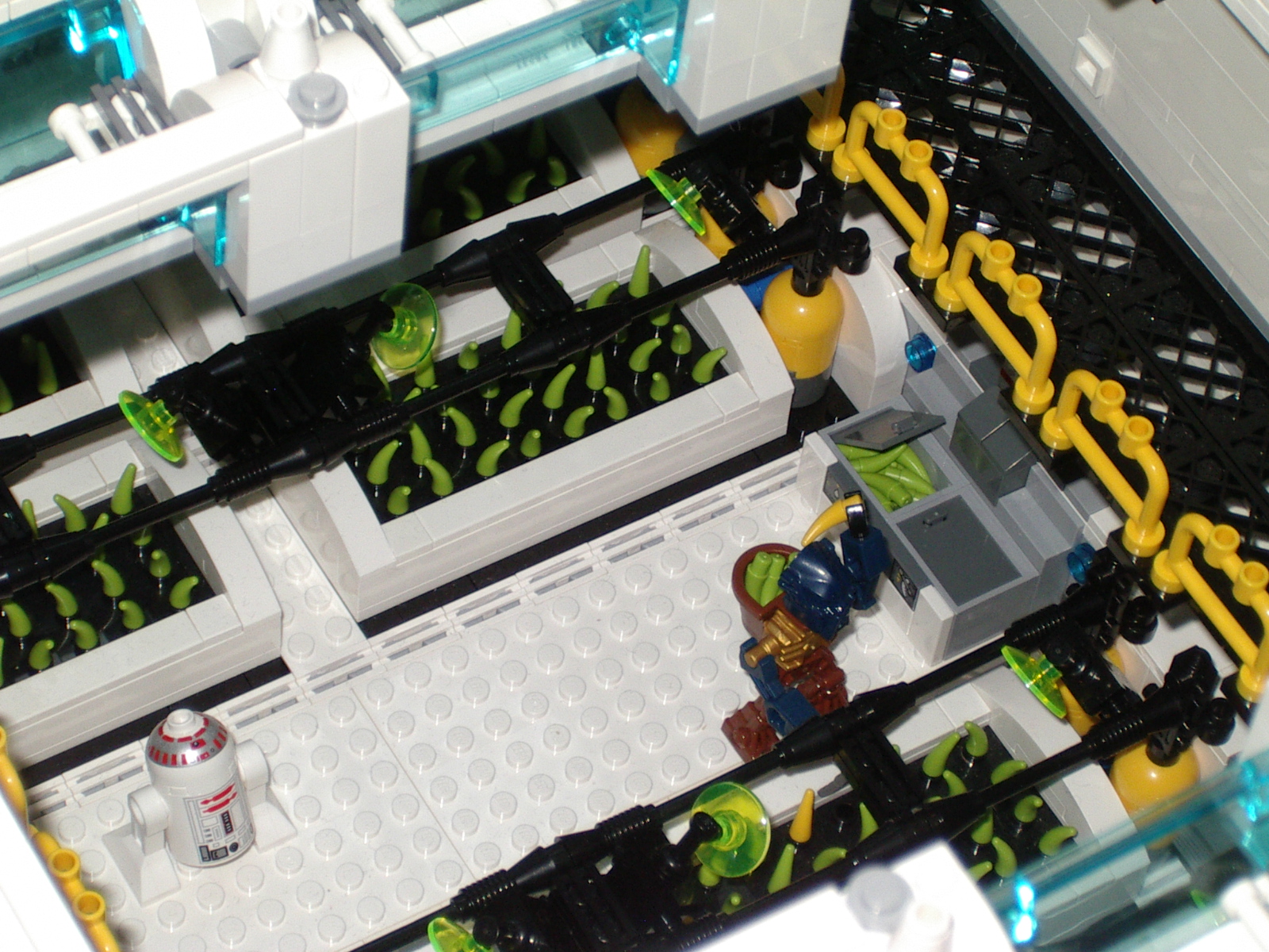27_greenhouse.jpg