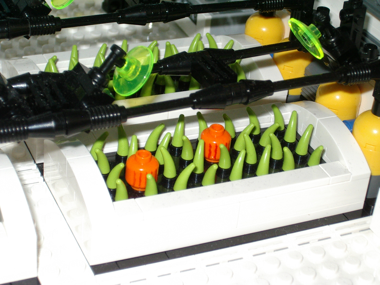 29_greenhouse.jpg