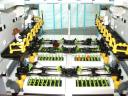 19_greenhouse.jpg