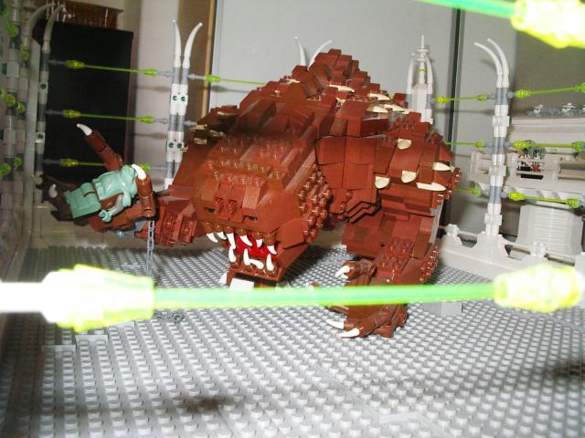 enclosure_18.jpg