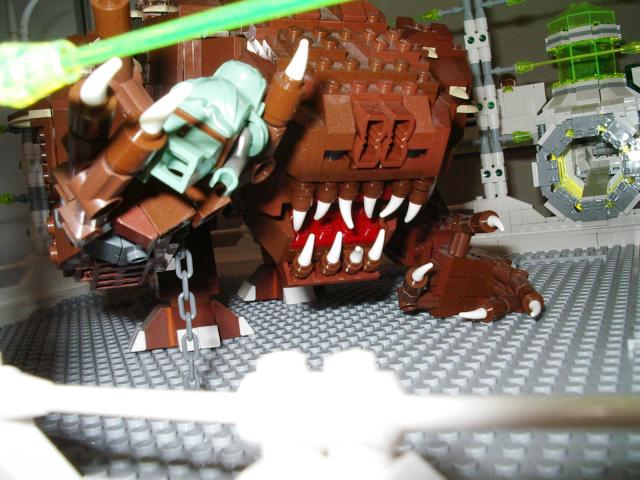 enclosure_19.jpg