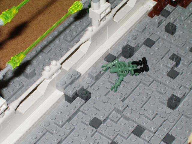 enclosure_29.jpg