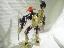 vorox_back.jpg