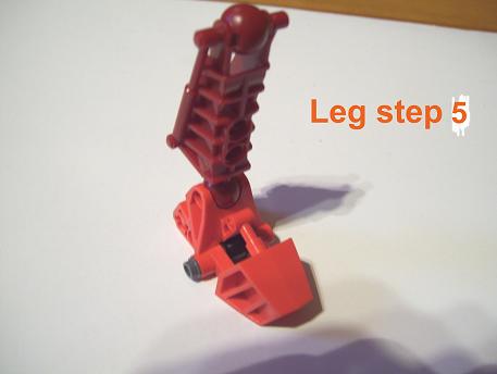 leg_step_5.jpg