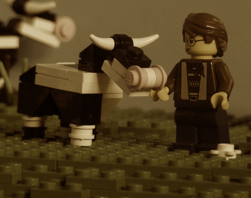 01cow.jpg
